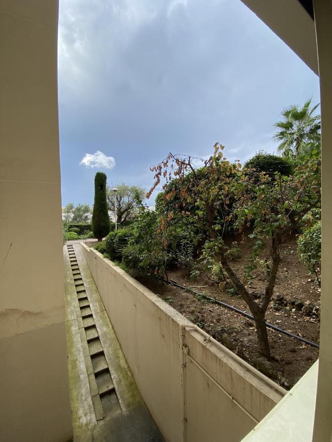 Magniolias - Residence Calme Avec Piscine, Tennis & Jardin Antibes Eksteriør billede